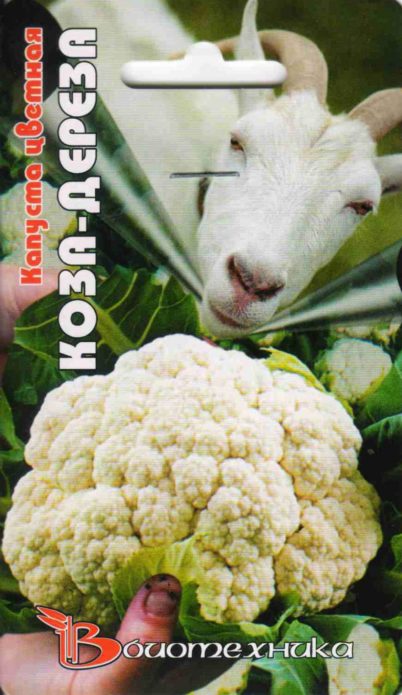 Mga Binhi ng Cabbage Goat Dereza