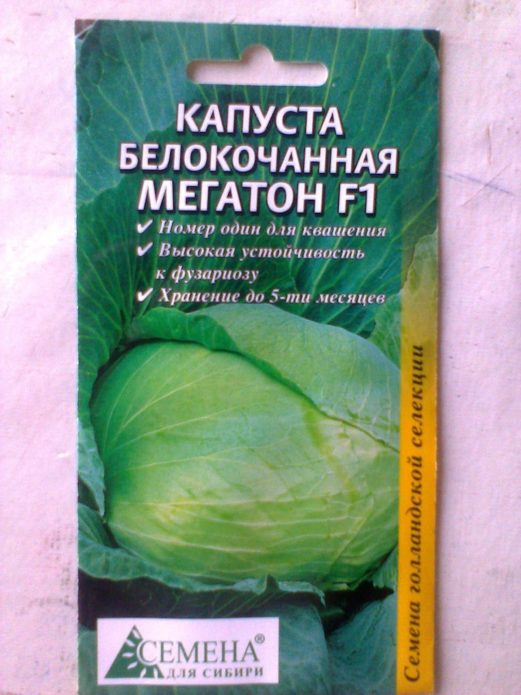 Λάχανο Megaton εταιρεία Σπόροι για τη Σιβηρία