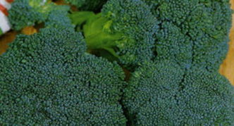 Broccoli Linda