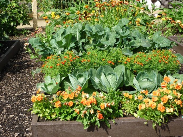 Зеленчукова градина като декорация