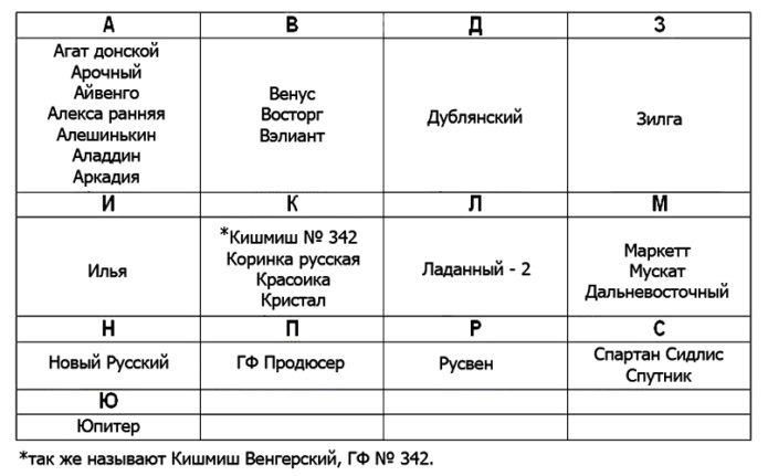 Mga barayti ng ubas para sa rehiyon ng Moscow