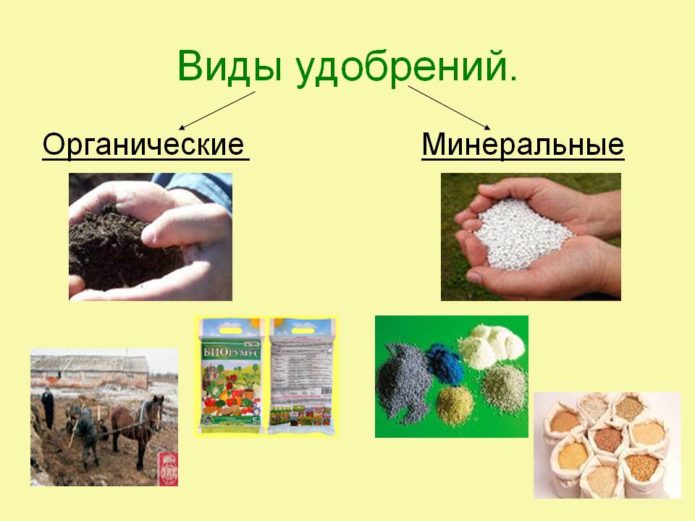 Organska i mineralna gnojiva