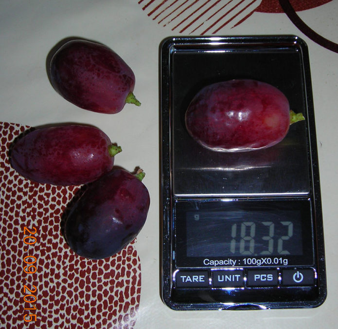 Rizamat-druiven