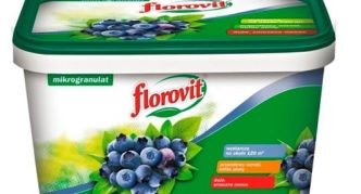 Fertilizer Florovit