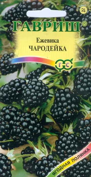 Mga binhi ng blackberry