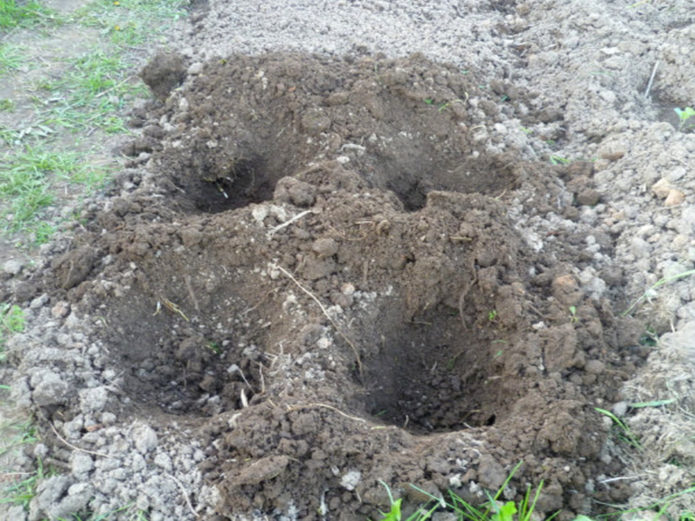 Puits pour planter dans le sol