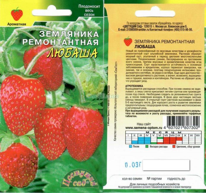 Σπόροι φράουλας Lyubasha