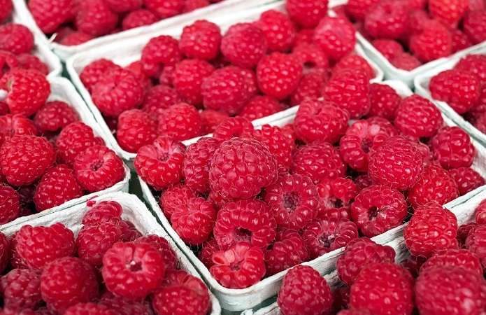 Mga raspberry sa mga lalagyan ng plastik