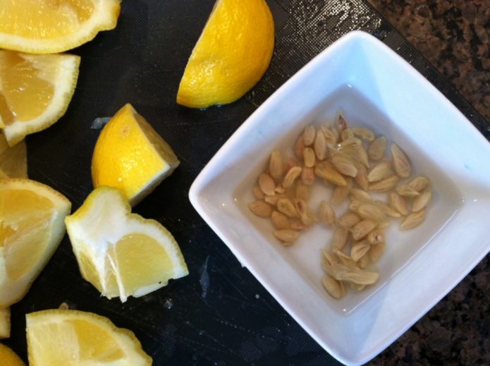 Sjemenke limuna u zdjeli