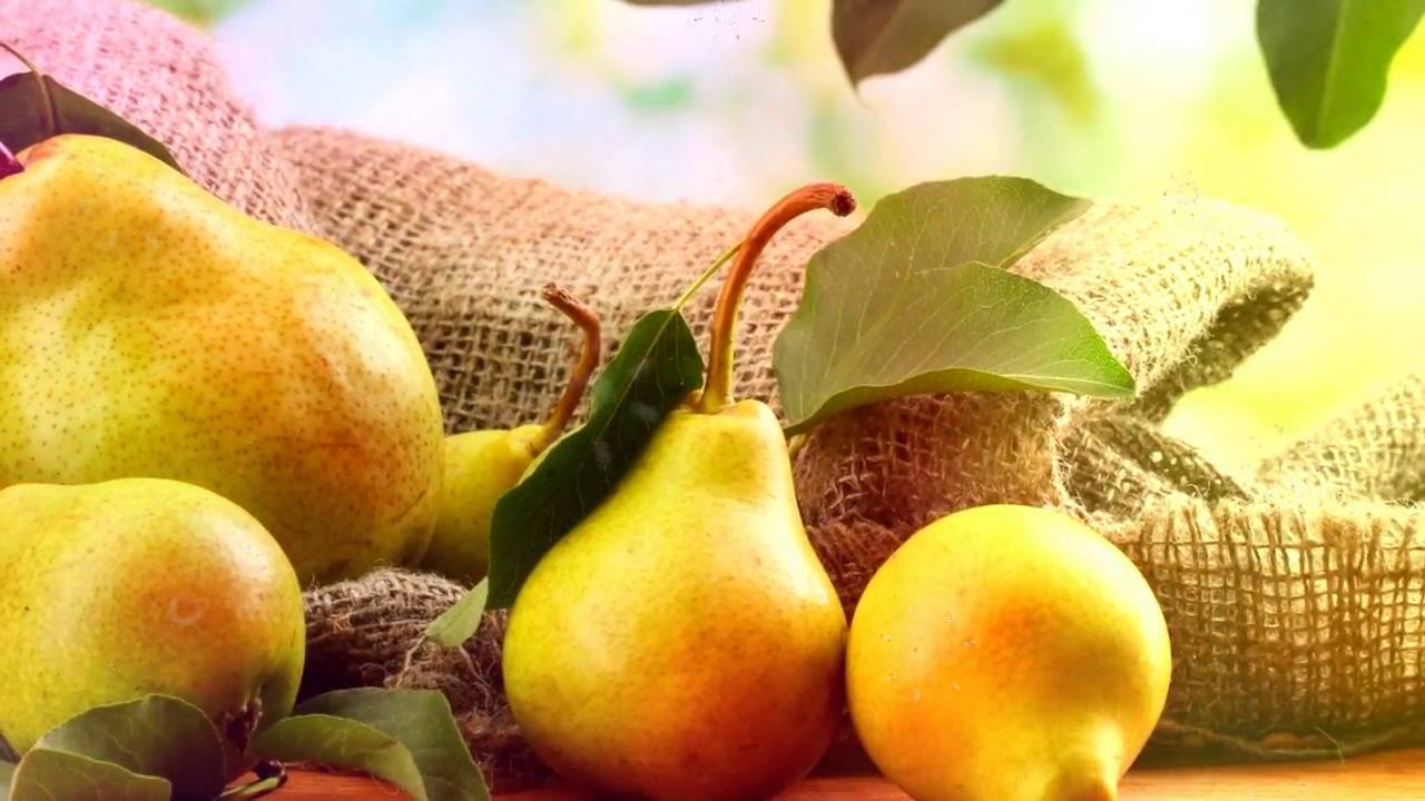 Parhaat omaperäiset hedelmällisimmät päärynät eri kypsymisaikoina