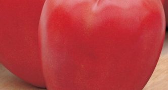 Сорт домати Говеждо сърце розово