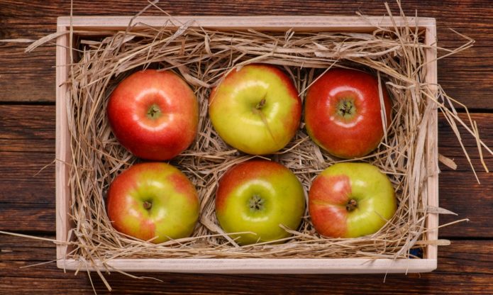 Oppbevaring av epler