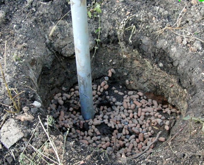Fosse de plantation pour raisins