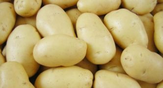 Potato Prior