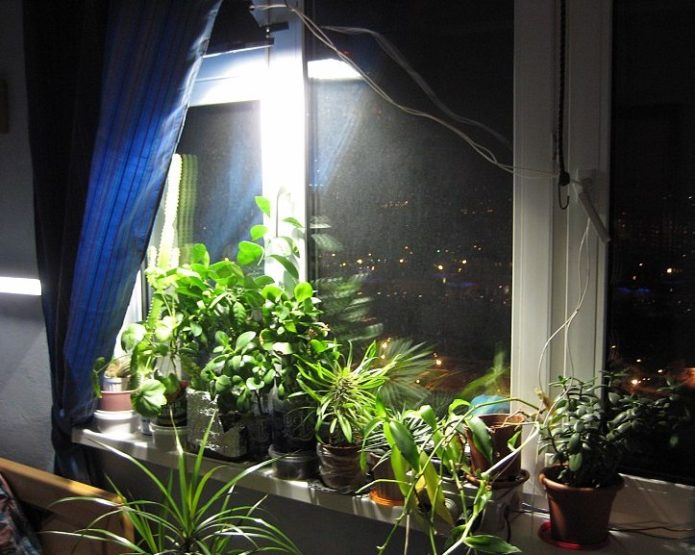 Mesterséges világítás használata növények termesztésére