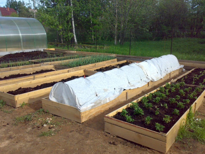 Ξύλινα κρεβάτια-κουτιά για λαχανικά