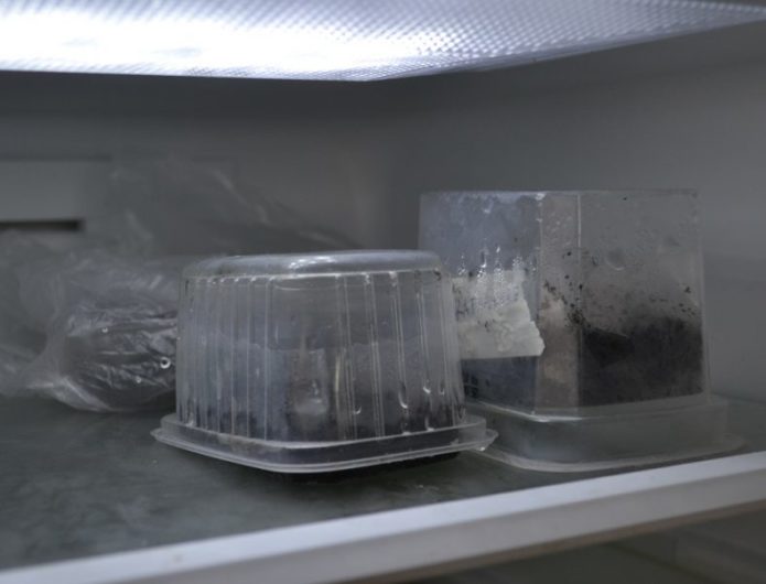 Samenschalen im Kühlschrank