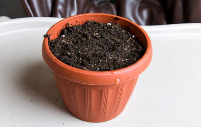 Pot of soil