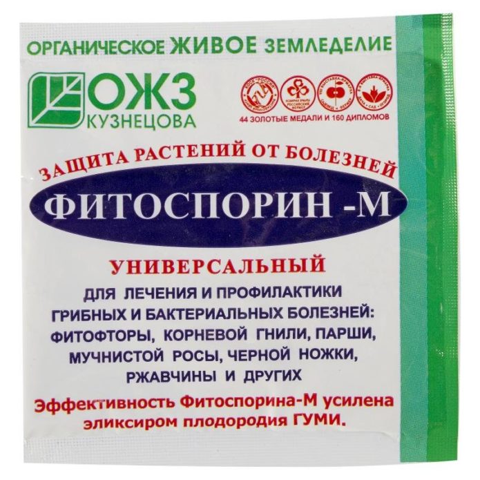 Fitosporiini