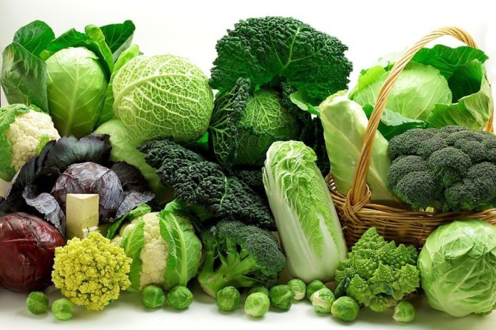 Odrůdy zelí