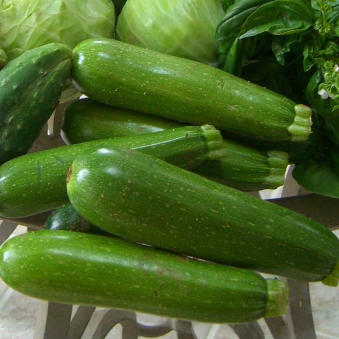 Tsukesh zucchini