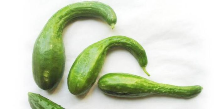 Misvormde komkommers