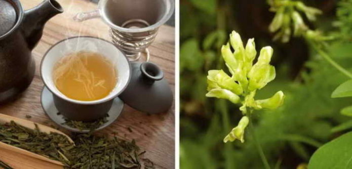 Astragalus žolelių arbata