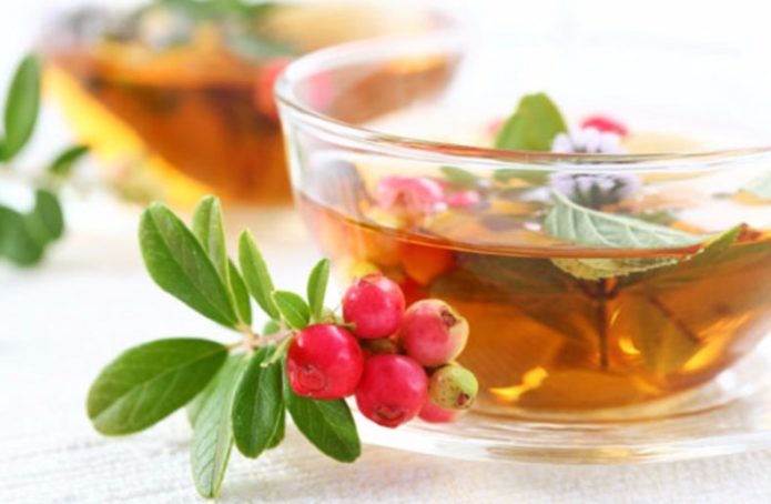 Bearberry tēja