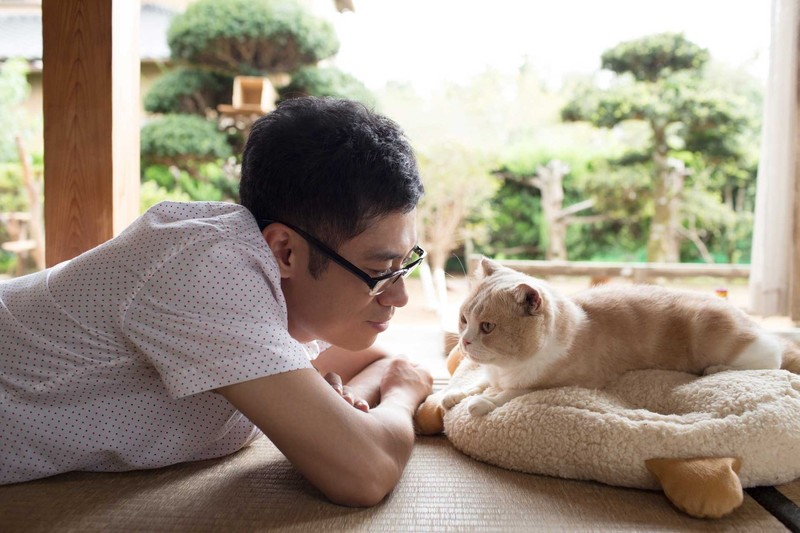 На японците се предлага да дарят застаряващи животни на специални приюти