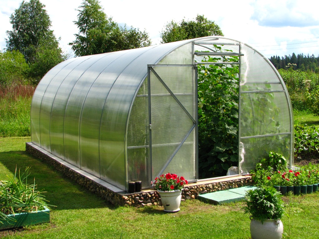Processing the greenhouse in the spring from pests and diseases - the best ways
