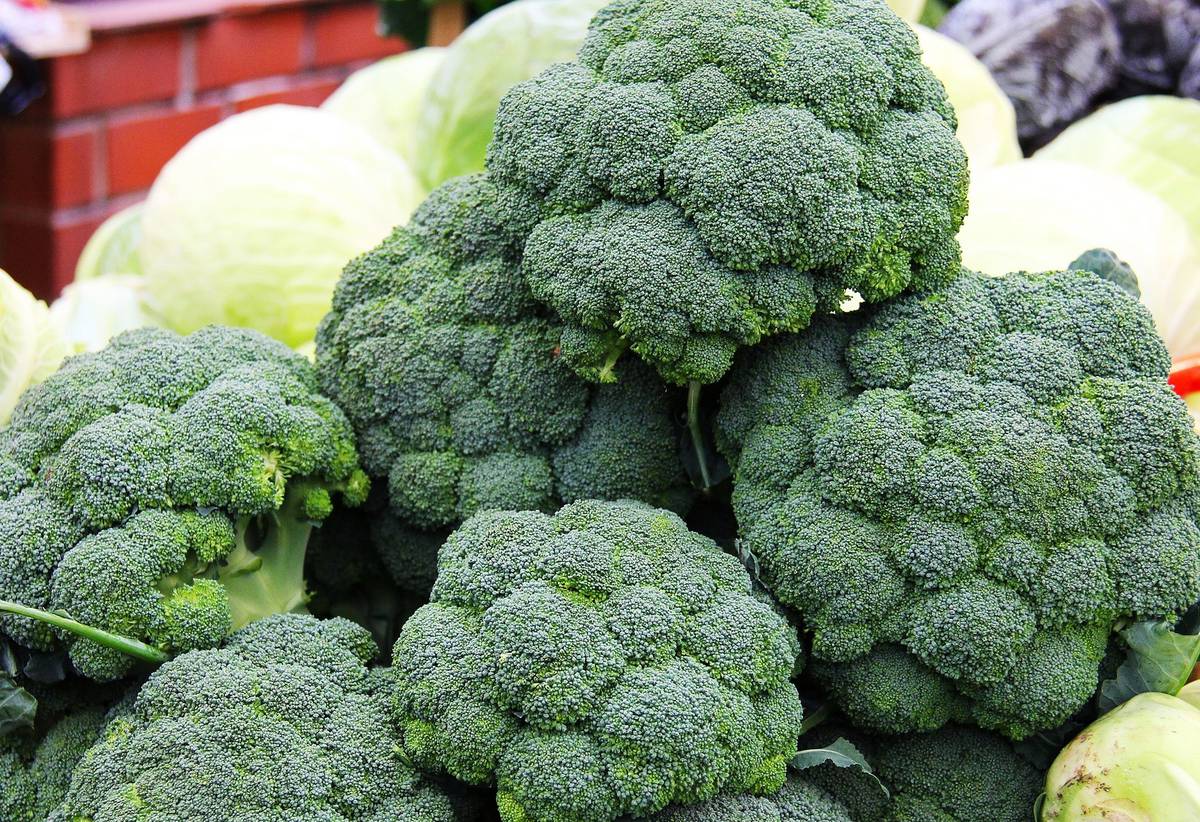 Uprawa brokułów bez pestek: skuteczna i prosta metoda